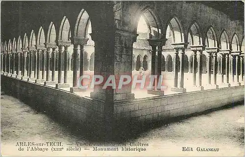 Cartes postales Arles sur Tech Vue d'Ensemble des Cloitres de l'Abbaye (XIIIe Siecle) Monument Historique