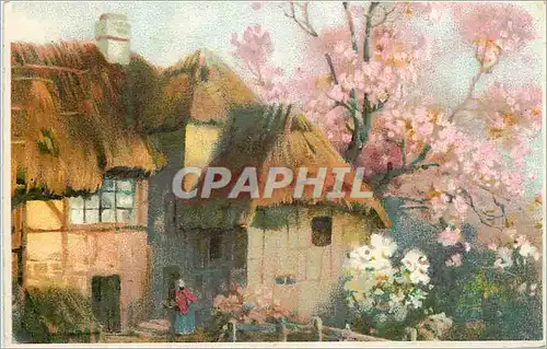 Cartes postales Maison Chaumiere
