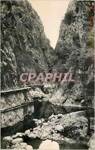 Cartes postales moderne Amelie les Bains (P O) Perle des Pyrenees Les Gorges du Mondony