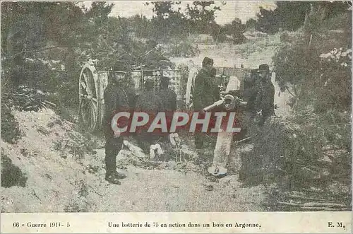 REPRO Guerre 1914 Une Batterie de 75 en action dans un Bois en Argonne Militaria