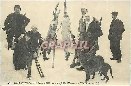 REPRO Chamonix Mont Blanc Une Jolie Chasse au Chamois Chiens