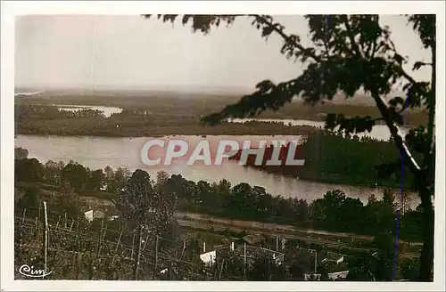 Cartes postales moderne Environs de Moissac (Tarn et Gar) Confluent du Tarn et de la Garonne