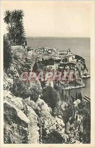 Cartes postales Monaco Cote d'Artistique Vue prise du Jardin Exotique