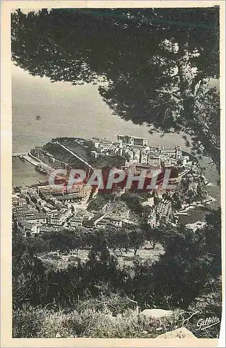 Cartes postales Monaco Cote d'Azur Artistique Le Rocher entre les Pins