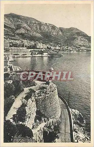 Cartes postales Monaco Cote d'Azur Artistique Vue prise de la Principaute