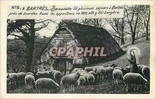 Cartes postales A Bartres Bernadette fit plusieurs Sejours a Bartres pres de Lourdes Moutons