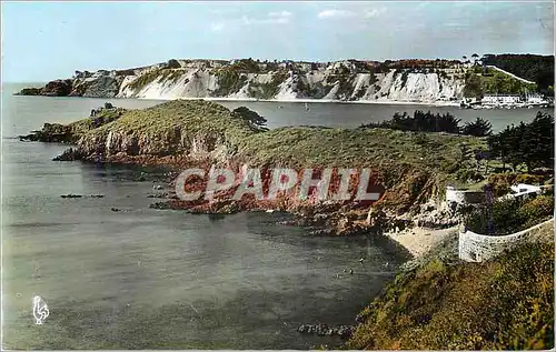 Cartes postales moderne Erquy (C du N) la Pointe de la Heussaye et le Cap d'Erquy