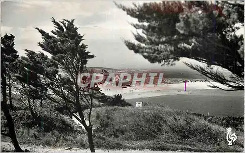 Cartes postales moderne Tregastel (C du N) la Greve Blanche