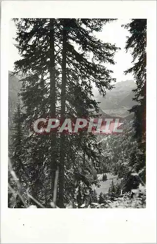 Cartes postales moderne Lac de Montriond (Haute Savoie) le Roc d'Enfer