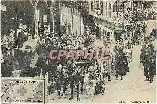 REPRO Lille Attelage de Chiens Picardie