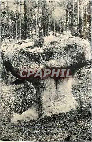 Cartes postales moderne Foret de Fontainebleau le Champignon d'Apremont