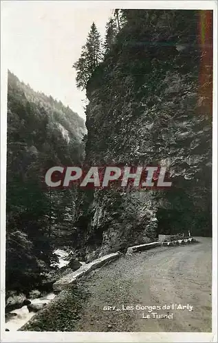 Cartes postales moderne Les Gorges de l'Arly le Tunnel