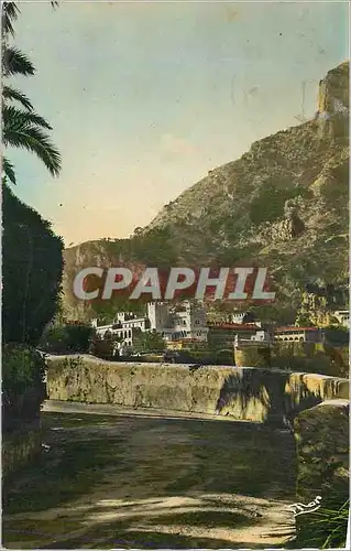 Cartes postales moderne La Principaute de Monaco le Palais du Prince et la Tete de Chien