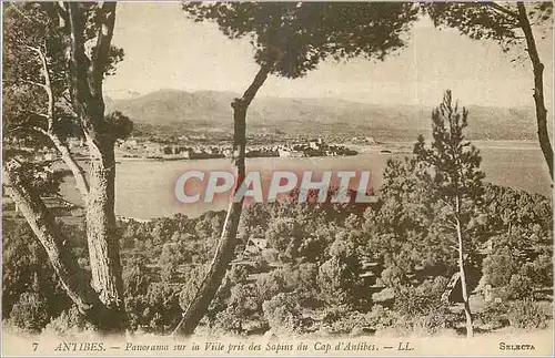 Cartes postales Antibes Panorama sur la Ville pris des Sapins du Cap d'Antibes