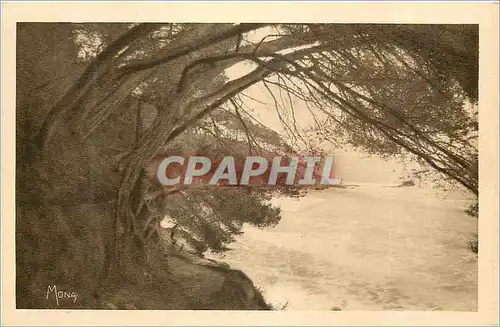 Cartes postales Toulon les Petits Tableaux de Provence Sentir au Bord de la Mer du Mourillon au Cap Brun