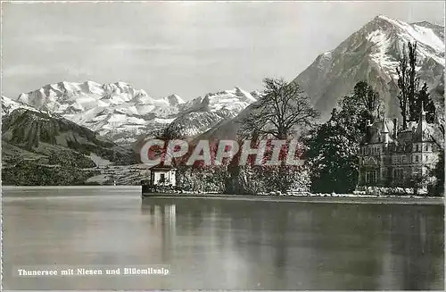 Moderne Karte Thunersee mit Niesen