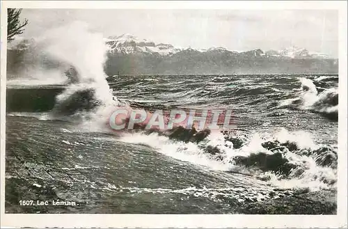 Cartes postales moderne Lac Leman