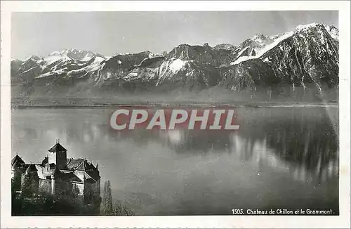Cartes postales moderne Chateau de Chillon et le Grammont