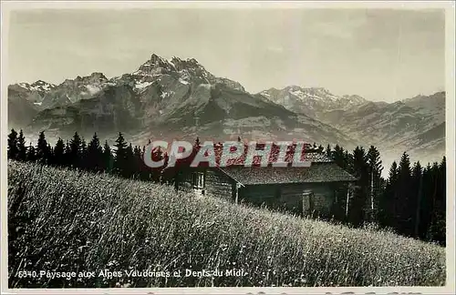 Cartes postales moderne Paysage aux Alpes Vaudoises et Dents du Midi