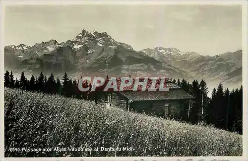 Moderne Karte Paysage aux Alpes Vaudoises et Dents du Midi