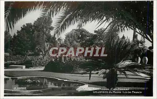 Cartes postales moderne Saint Jean Cap Ferrat  les Jardins du Musee Ile de France