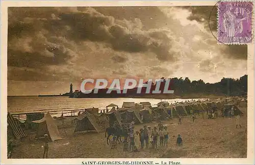 Ansichtskarte AK Saint Georges de Didonne la Plage Enfants Ane Donkey