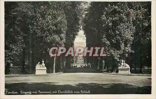 Cartes postales moderne Postdam Eingang von Sanssouci mit Durchblick zum Schloss