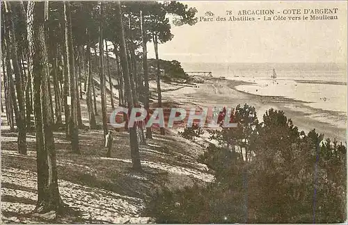 Ansichtskarte AK Arcachon Cote d'Argent Parc des Abatilles la Cote vers le Moulleau