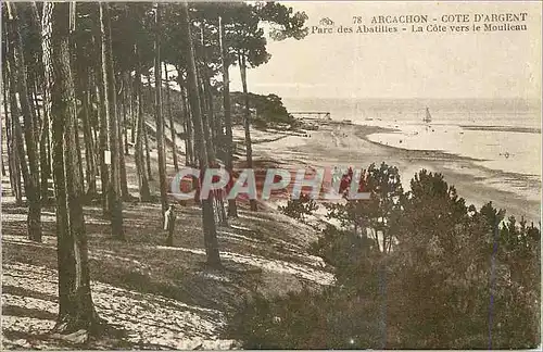 Cartes postales Arcachon Cote d'Argent Parc des Abatilles la Cote vers le Moulleau