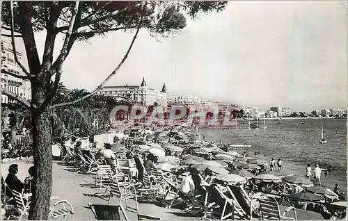 Moderne Karte Cannes la Plage et la Croisette la Cote d'Azur