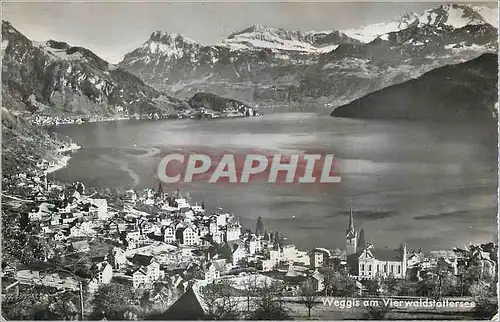 Cartes postales moderne Weggis am Vierwaldstattersee