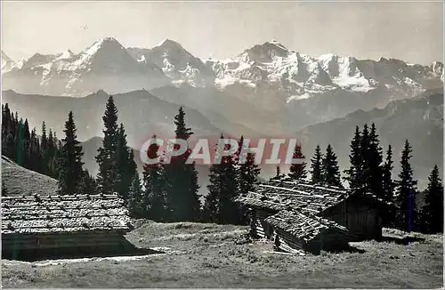 Cartes postales moderne Im Ausflugsgebiet der Sellbahn Beatenberg Niederhorn