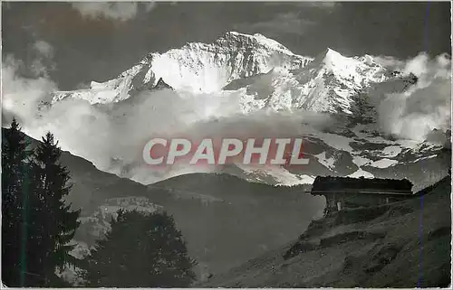 Cartes postales moderne Die Jungfrau im Abendlicht