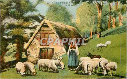 Cartes postales Bartres Sainte Bernadette Moutons