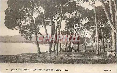 Ansichtskarte AK Juan les Pins Les Pins au Bord de la Mer