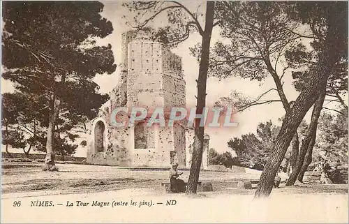 Cartes postales Nimes La Tour Magne (Entre les Pins)