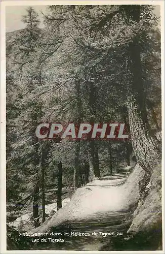 Cartes postales moderne Sentiers dans les Melezes de Tignes au Lac de Tignes
