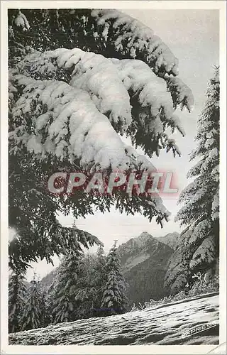 Cartes postales moderne Abondance (Hte Savoie) alt 930 m Lever de Soleil entre deux Pertuis