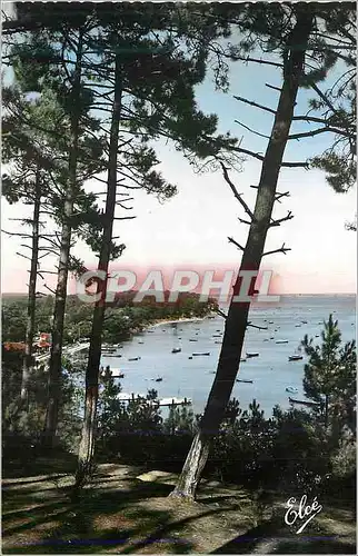 Moderne Karte Bassin d'Arcachon (Gironde) Echappee sur la Bassin a Travers les Pins