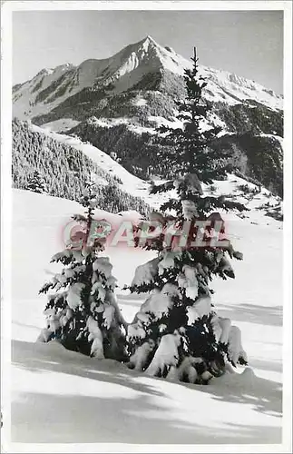 Cartes postales moderne Leysin Le Pic Chaussy