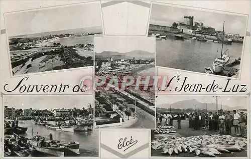 Cartes postales moderne Souvenir de St Jean de Luz Peche Bateaux