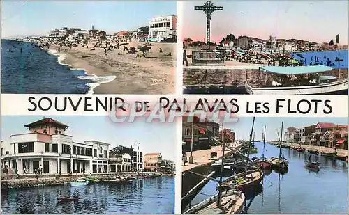 Cartes postales moderne Souvenir de Paravas (Herault) les Flots