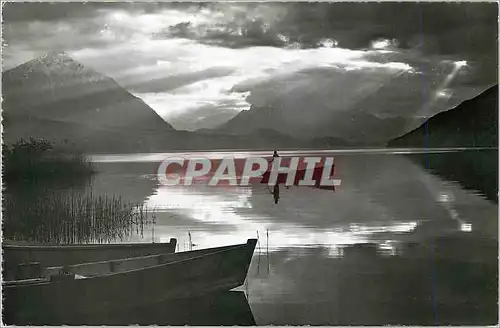 Cartes postales moderne Interlaken Abendstimmung am Thunersee