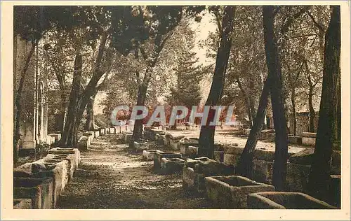 Cartes postales Arles Les Alyscamps Champs Elysees Romains