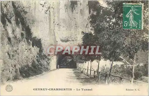 Cartes postales Gevrey Chambertin Le Tunel