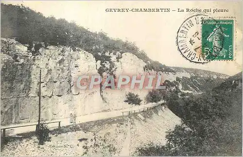 Ansichtskarte AK Gevrey Chambertin La Roche qui Pleure