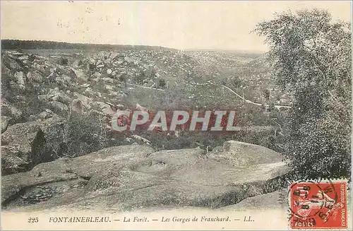 Cartes postales Fontainebleau La Foret Les Gorges de Franchard