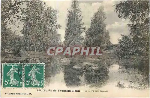 Ansichtskarte AK Foret de Fontainebleau La Mare aux Pigeons