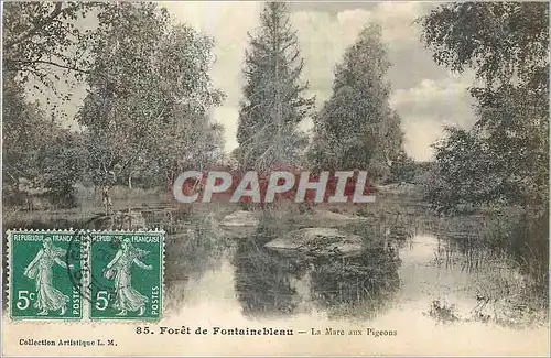 Cartes postales Foret de Fontainebleau La Mare aux Pigeons