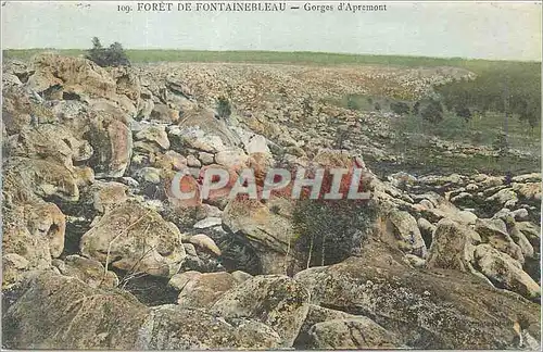 Cartes postales Foret de Fontainebleau Gorges d'Aprenont